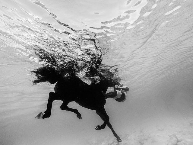 Alexandre Coric, Fine art digital print, signed, Barbados horse training, 2018