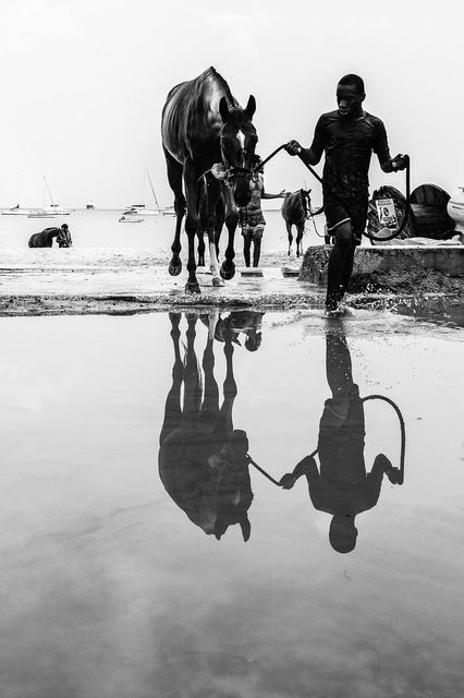 Alexandre Coric, Fine art digital print, signed, Barbados horse training, 2018